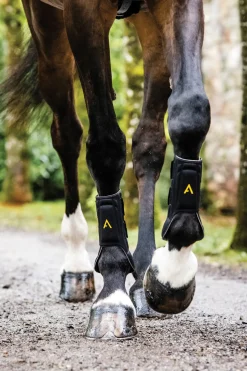 HORSEWARE ® Ireland Adagio Boots- Horse Boots