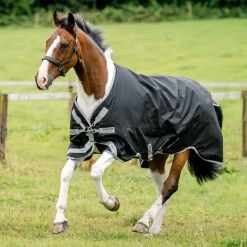HORSEWARE ® Ireland Amigo® 1200D Turnout Sheet Standard Neck- Turnout Sheets
