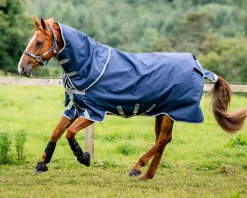 HORSEWARE ® Ireland Amigo® 1200D Plus Turnout 250 Gram- Turnout Blankets