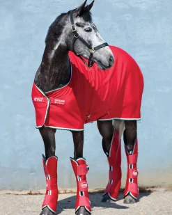HORSEWARE ® Ireland Amigo® Jersey Cooler- Horse Coolers