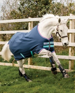 HORSEWARE ® Ireland Amigo® Pony Hero 900D Medium-Weight Turnout Blanket- Turnout Blankets