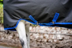 HORSEWARE ® Ireland Amigo® Ripstop 900D Plus Pony Turnout Sheet- Turnout Sheets