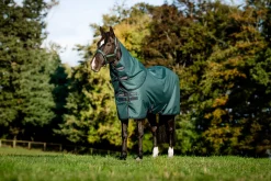 HORSEWARE ® Ireland Amigo® Ripstop 900D 200 Grams Plus Pony Turnout- Turnout Blankets