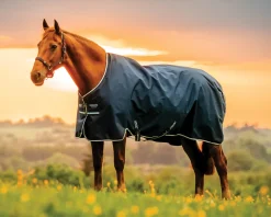 HORSEWARE ® Ireland Amigo® Ripstop 900D 200 Gram Standard Neck Turnout–Seasonal Color- Turnout Blankets