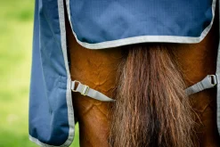 HORSEWARE ® Ireland Amigo® Ripstop 900D 50 Gram Standard Neck Turnout- Turnout Blankets