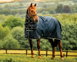 HORSEWARE ® Ireland Amigo® Ripstop 900D 100 Gram Plus Pony Turnout- Turnout Blankets