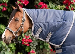 HORSEWARE ® Ireland Amigo® Ripstop Insulator Stable Pony Plus Blanket - 200G- Stable Blankets