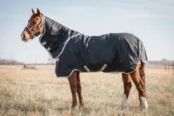HORSEWARE Ireland® Amigo® Stock Horse Plus Turnout Light- Turnout Blankets