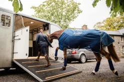 HORSEWARE ® Ireland Rambo® Travel Series Sheet- Stable Sheets