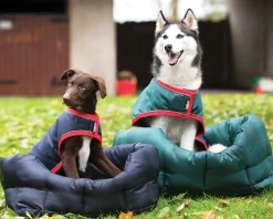 HORSEWARE ® Ireland Rambo® Waterproof Dog Blanket- Dog Blankets