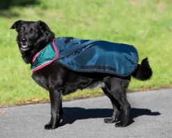 HORSEWARE ® Ireland Rambo® Waterproof Dog Blanket- Dog Blankets