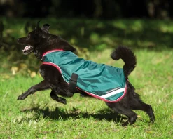 HORSEWARE ® Ireland Rambo® Waterproof Dog Blanket- Dog Blankets