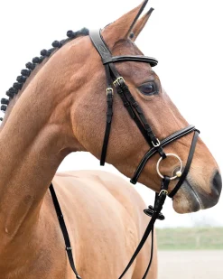 EQUINAVIA Horze Constance Padded Flash Snaffle Bridle- English Bridles