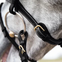 EQUINAVIA Horze Constance Padded Flash Snaffle Bridle- English Bridles