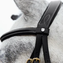 EQUINAVIA Horze Constance Padded Flash Snaffle Bridle- English Bridles
