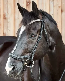 EQUINAVIA Horze Highbury Anatomical Crystal Dressage Bridle- English Bridles