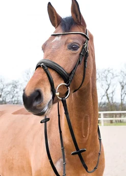EQUINAVIA Horze Lester Snaffle Bridle- English Bridles