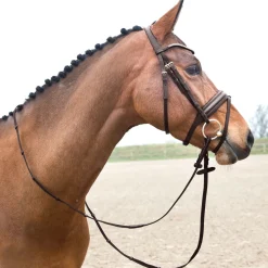 EQUINAVIA Horze Lester Snaffle Bridle- English Bridles