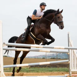 EQUINAVIA Horze Men’s Grand Prix Full-Seat Breech with Silicone Grip- Men's Breeches