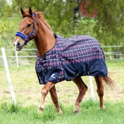EQUINAVIA Horze Nevada 1200D Lightweight Turnout Sheet- Turnout Sheets