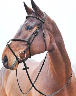 EQUINAVIA Horze Prescott Figure-8 Bridle- English Bridles