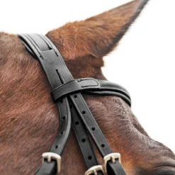 EQUINAVIA Horze Prescott Figure-8 Bridle- English Bridles