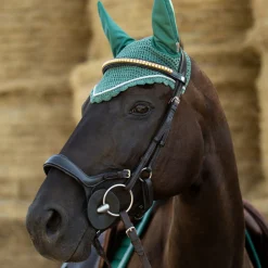 EQUINAVIA Horze Stewart Bridle- English Bridles