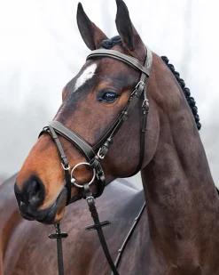 EQUINAVIA Horze Venice Snaffle Bridle- English Bridles