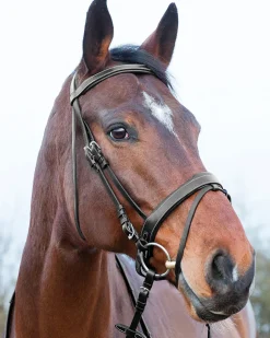 EQUINAVIA Horze Venice Snaffle Bridle- English Bridles