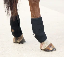 SHIRES EQUESTRIAN Hot/Cold Joint Relief Boots- Therapy|Hoof & Hock Boots