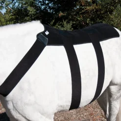 MACKINNON Ice Horse® Back Blanket- Therapy|Hoof & Hock Boots