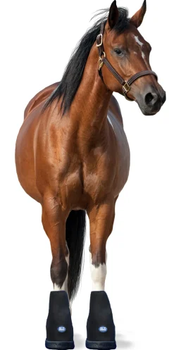 MACKINNON Ice Horse® Hoof Boot - Pair- Therapy|Hoof & Hock Boots