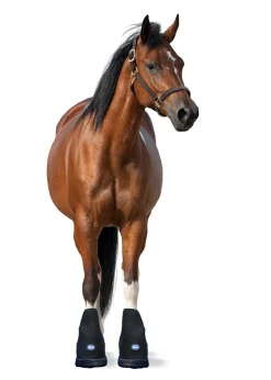 MACKINNON Ice Horse® Large Laminitis Pro Boot- Therapy