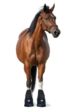 MACKINNON Ice Horse® Medium Laminitis Pro Boot- Therapy