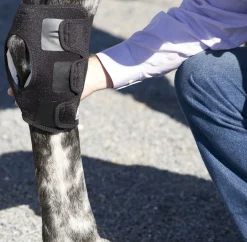 MACKINNON Ice Horse® Pony Hock Wrap – Pair- Therapy