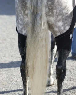 MACKINNON Ice Horse® Pony Stifle Wraps – Pair- Therapy|Hoof & Hock Boots