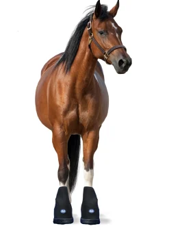 MACKINNON Ice Horse® Small Laminitis Pro Boot- Therapy|Hoof & Hock Boots