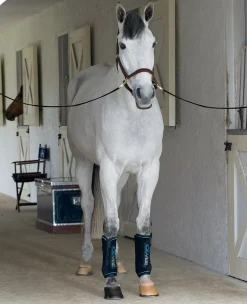 HORSEWARE ICE-VIBE Boots- Therapy|Hoof & Hock Boots