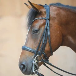 PEP-KAVALKADE Ivonne Convertible Bridle- English Bridles