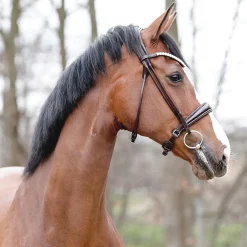 PEP-KAVALKADE Kavalkade Florina Bridle- English Bridles