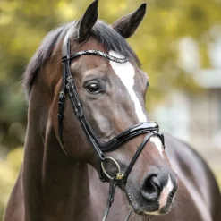 PEP-KAVALKADE Kavalkade Ivana Snaffle Bridle- English Bridles