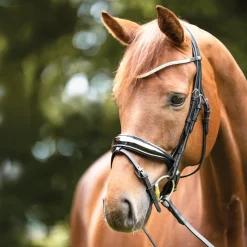PEP-KAVALKADE Kavalkade Princess Browband- Bridle Parts & Accessories