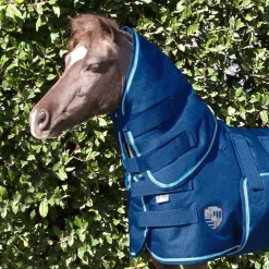 KENSINGTON ™ Mini Protective Neck Cover- Turnout Blankets