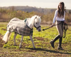 KENSINGTON ™ Mini Signature Textilene® Protective Fly Sheet- Fly Control|Fly Sheets