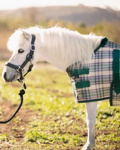 KENSINGTON ™ Mini Signature Textilene® Protective Fly Sheet- Fly Control|Fly Sheets