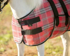 KENSINGTON ™ Mini Signature Textilene® Protective Fly Sheet- Fly Control|Fly Sheets