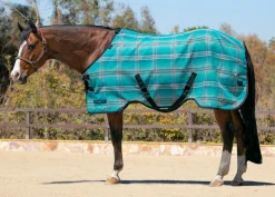 KENSINGTON ™ Pony Protective Sheet SureFit®- Fly Control|Fly Sheets