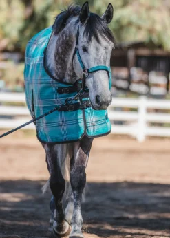 KENSINGTON ™ Pony Protective Sheet SureFit®- Fly Control|Fly Sheets