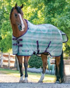 KENSINGTON ™ Pony Protective Sheet SureFit®- Fly Control|Fly Sheets