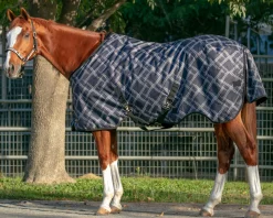 KENSINGTON ™ Pony Signature Heavyweight Turnout Blanket- Turnout Blankets